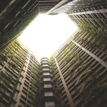 Brosse Démêlante Professionnelle