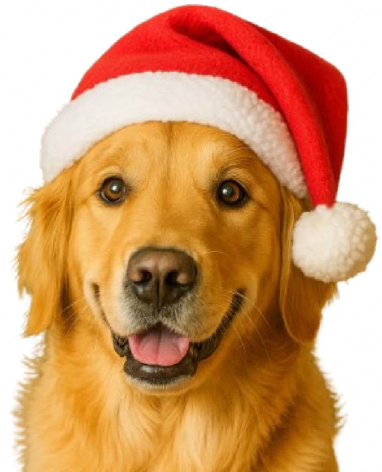christmas_doggie