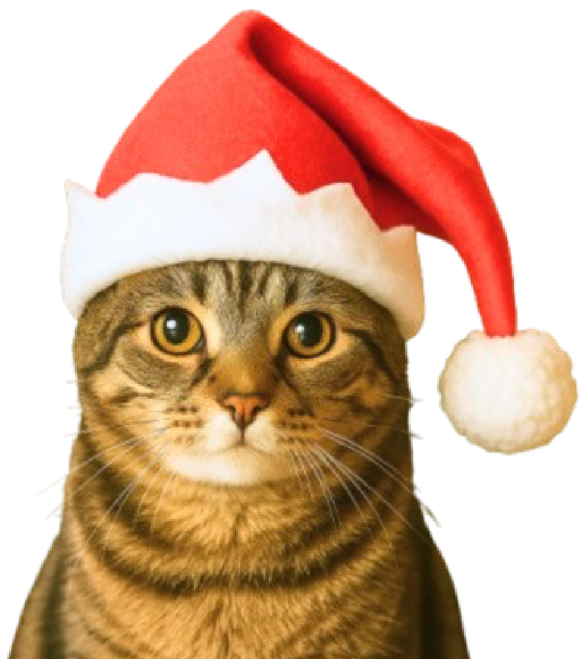 christmas_kitty